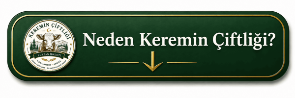 anasayfa_neden