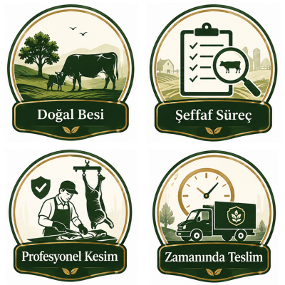 anasayfa_nedeninaciklamasi