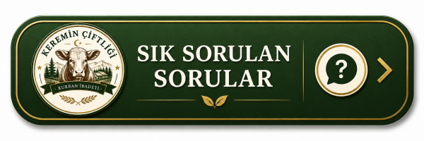 anasayfa_siksorulan